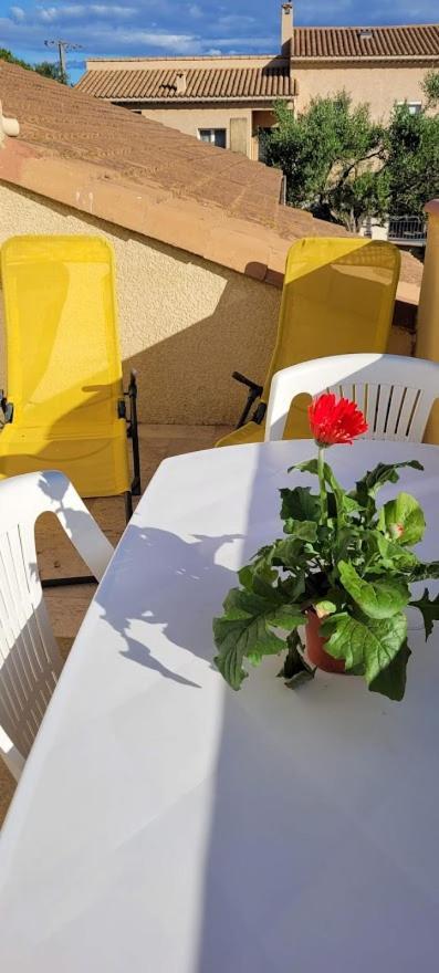 Appartement Agreable Et Spacieux Ensoleille Valros ภายนอก รูปภาพ